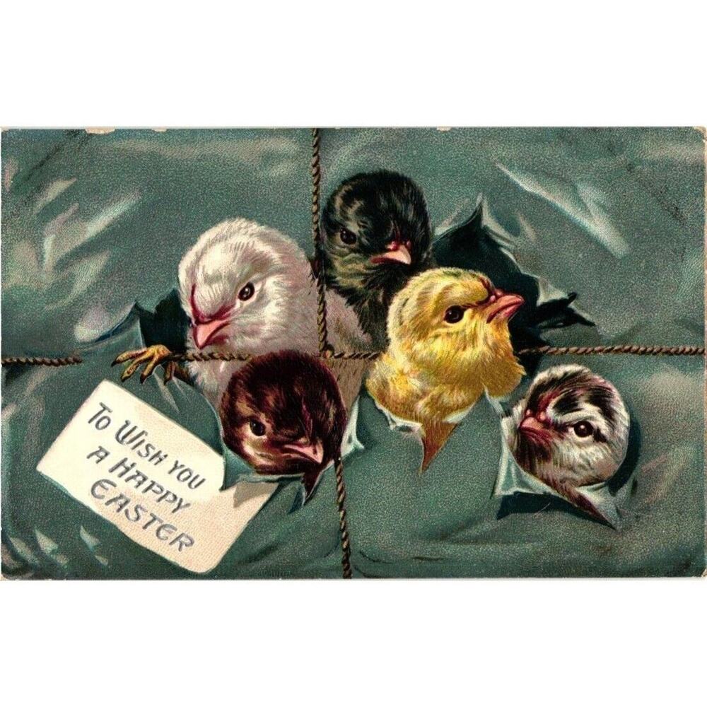A Happy Easter Baby Chicks Poking Heads Out Tucks‎ Postcard Unposted Embossed